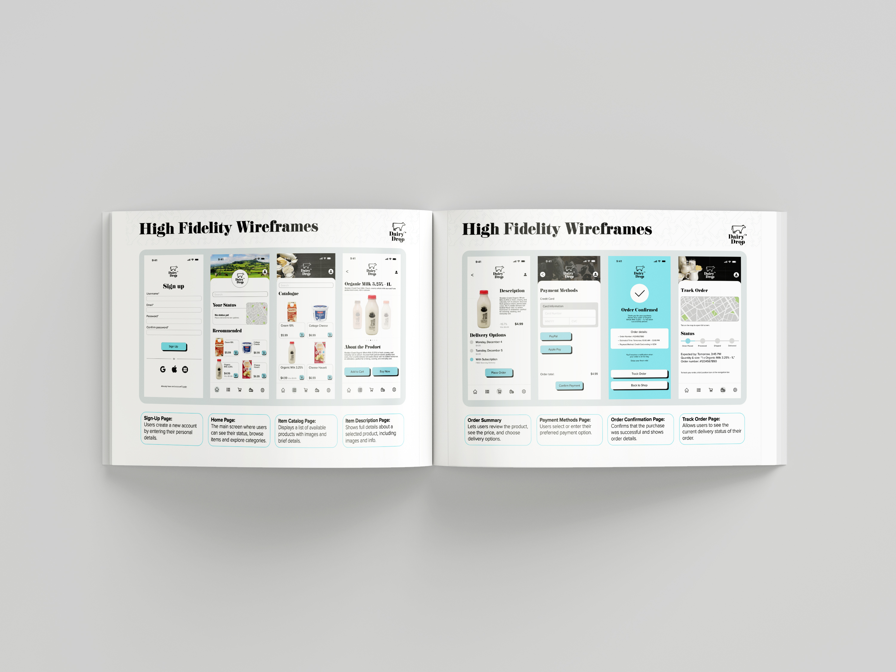 Final Design Solutions Image